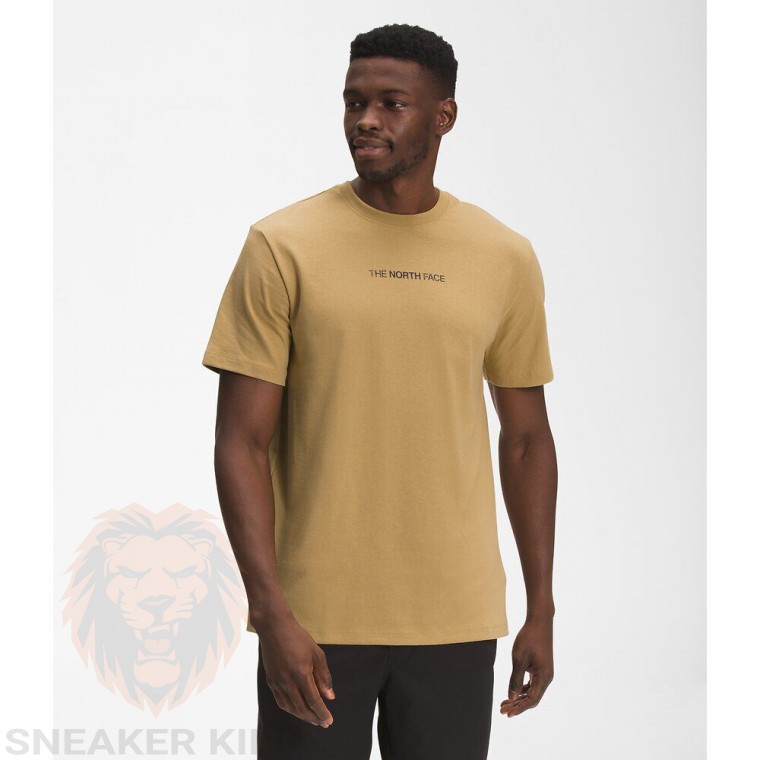 Футболка The North face mountain logo t-shirt